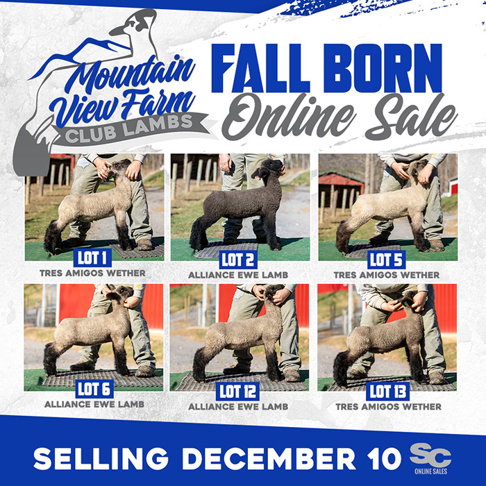 December 10 Online Sale<br />
